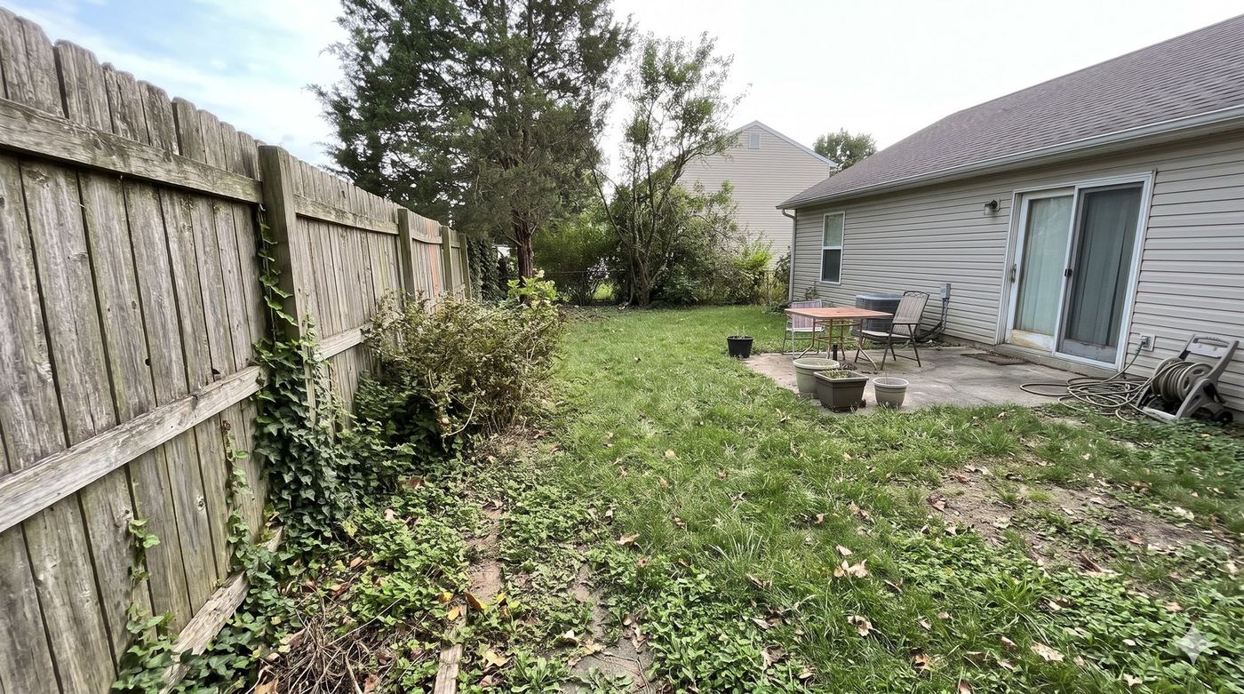 The backyard before: weathered fence with ivy, overgrown shrubs, patchy lawn and a cracked concrete patio